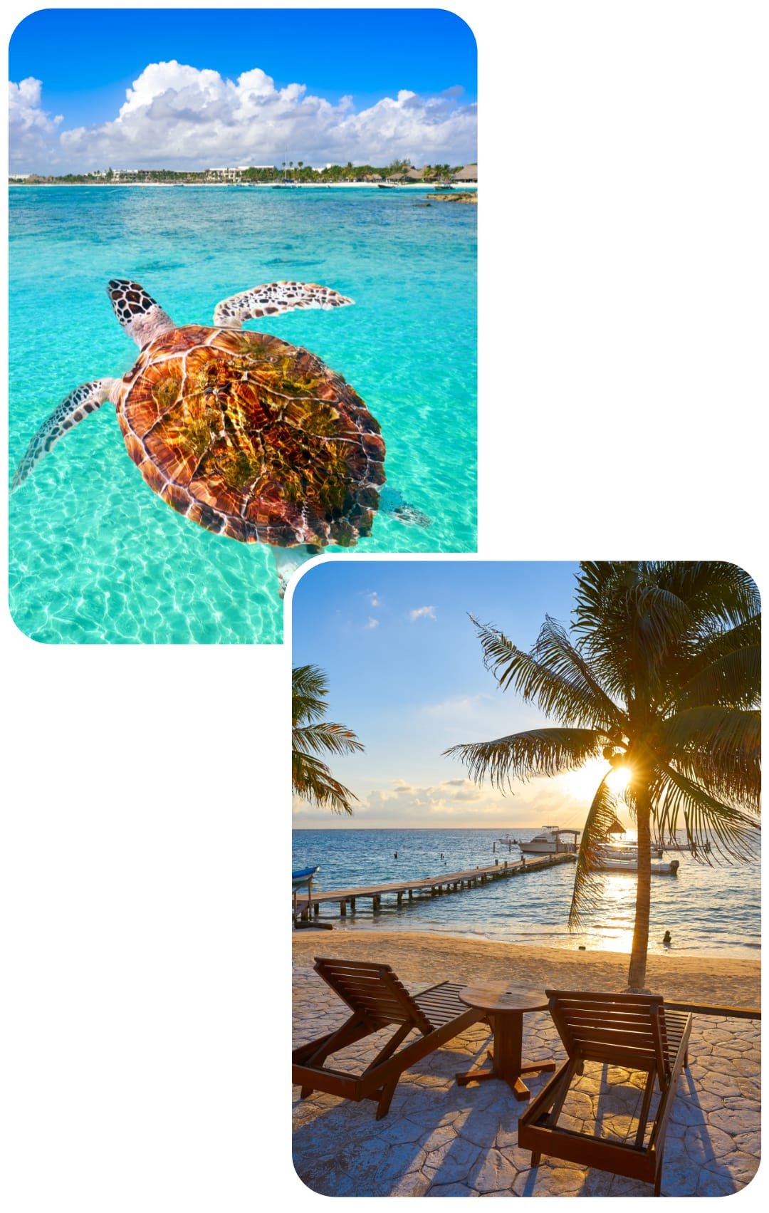 Mexico Immersion 19 mexico trip 2025 Kaywandalamb SFBG