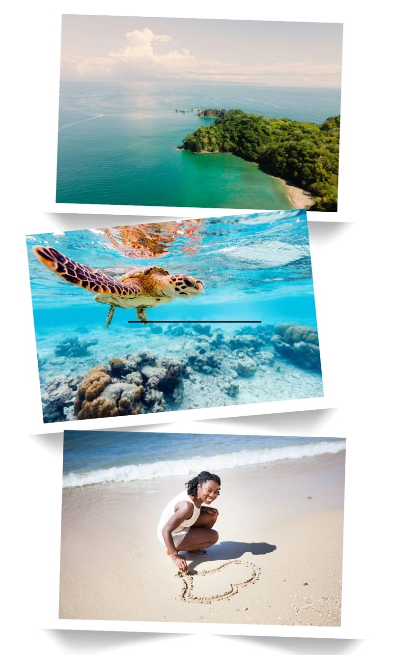 costarica kaywandalamb