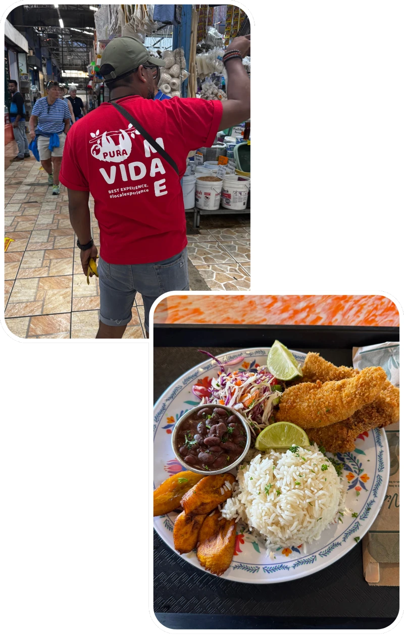 Cultural Encounters and Authentic